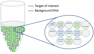 dpcrtargets