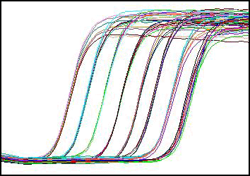 LC480 border